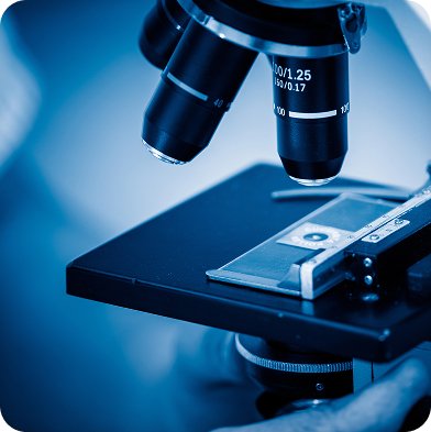 Microscope