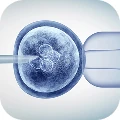 IVF Treatments
