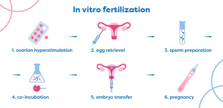 Vitro Maturation.jpg
