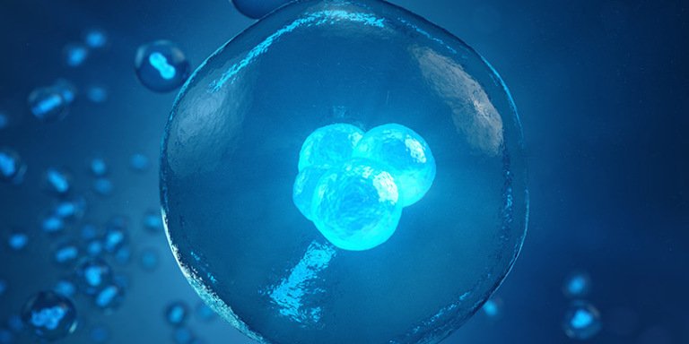 What is blastocyst culture?