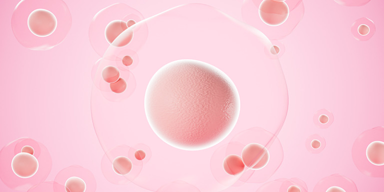 What is a Mosaic Embryo?