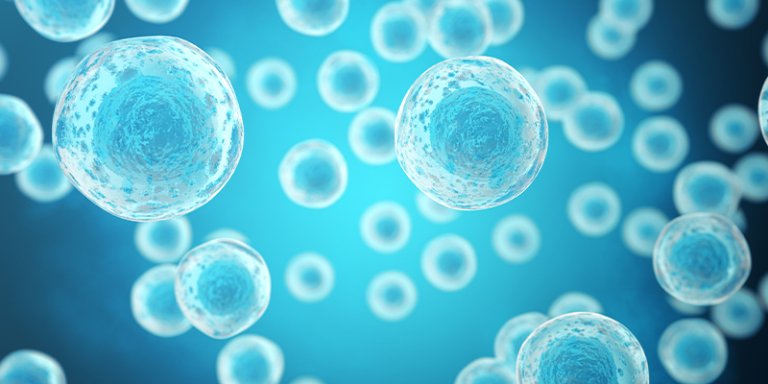 Unveiling the Potential of Oocyte Rejuvenation