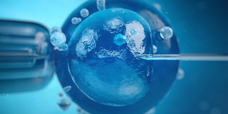 What are Follicles, and How Many Do You Need for IVF?