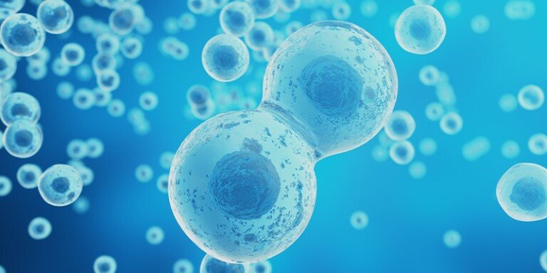 Exosome Therapy