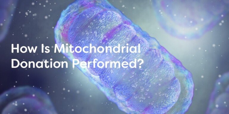 How Is Mitochondrial Donation Performed?