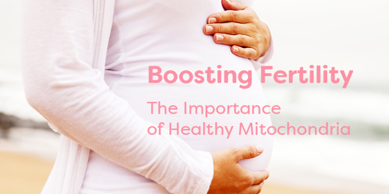 The Crucial Function of Mitochondria in Fertility