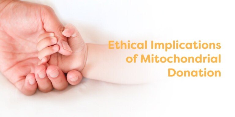 Exploring the Ethical Implications of Mitochondrial Donation