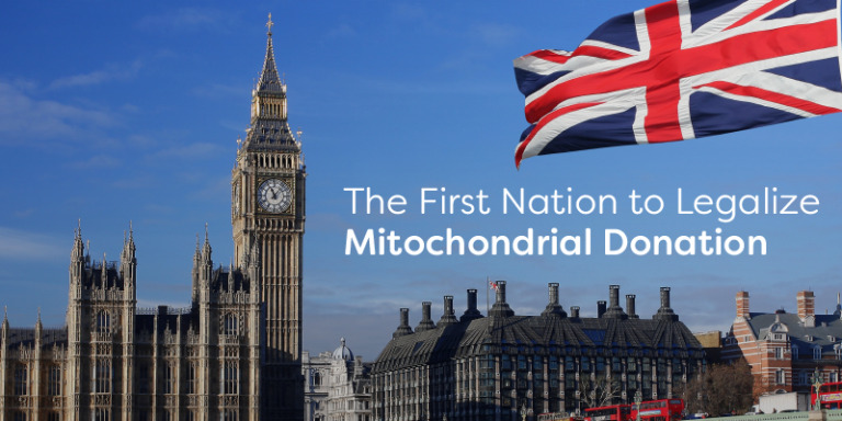 The UK’s Groundbreaking Role in Legalizing Mitochondrial Donation