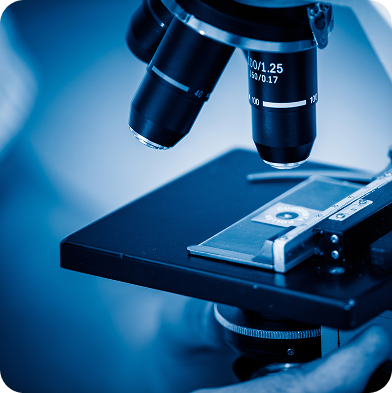 Microscope